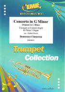 Concerto in G Minor Download