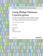 Concerto en si mineur TWV 53:h1 - Parties solistes 