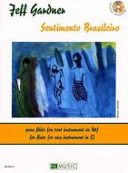 Sentimento Brasileiro 