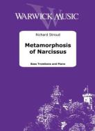 Metamorphosis of Narcissus 