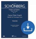 Paix sur Terre op. 13 