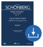 Paix sur Terre op. 13 