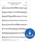 Veillons sur lui, gardons-le BWV 213 Download