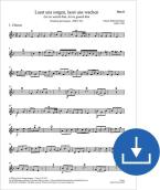 Veillons sur lui, gardons-le BWV 213 Download