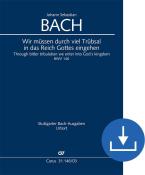 Nous devons traverser beaucoup de tribulations BWV 146 Download