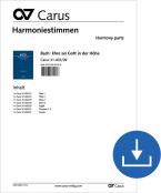 Glory to God in the highest BWV 197a, BWV3 197.1 Download