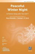 Peaceful Winter Night Standard