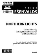 Northern Lights 