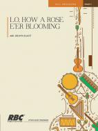Lo How A Rose E'er Blooming 