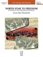 North Star to Freedom Standard