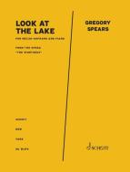 Look at the lake Standard