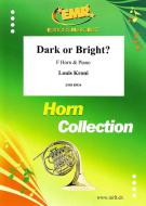 Dark or Bright? Standard