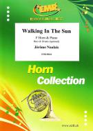 Walking In The Sun Download