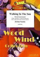 Walking In The Sun Download