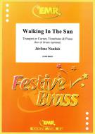 Walking In The Sun Download