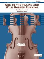 Ode to the Plains and Wild Horses Running 