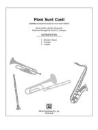Pleni Sunt Coeli 