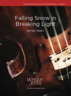 Falling Snow in Breaking Light Standard