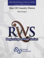 Star Of County Down Standard