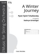 A Winter Journey 