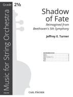 Shadow of Fate 