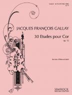 30 Studies Op. 13 
