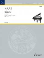 Two Sonatas Op. 61 No. 1 D Major Standard