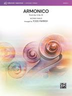 Armonico 