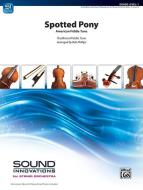 Spotted Pony 