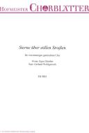 Sterne über stillen Straßen 
