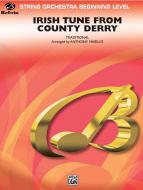 Irish Tune from County Derry Download