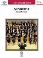 Sunburst Download