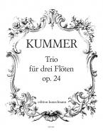 Trio op. 24 