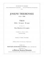 Trio B flat Major 20b 