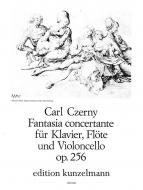 Fantasia concertante op.256 