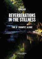 Reverberations in the Stillness Download