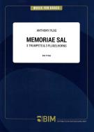 Memoriae Sal Download