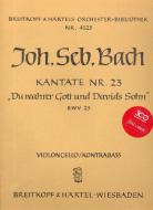 Du wahrer Gott und Davids Sohn 