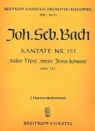 Süßer Trost, mein Jesus kömmt 