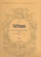 Meine Seele rühmt und preist 