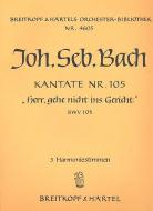 Herr, gehe nicht ins Gericht mit deinem Knecht 