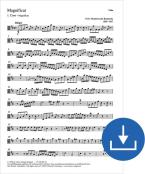 Magnificat en ré majeur MWV A 2 Download