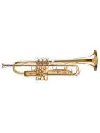 Symphony No. 40 in G Minor, 1st Movement 