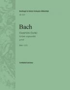 Ouvertüre (Suite) in g-Moll 