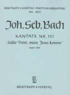 Süßer Trost, mein Jesus kömmt 