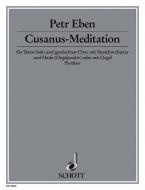 Cusanus-Meditation 