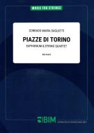 Piazze Di Torino Standard