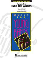 Highlights from Into The Woods 