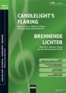 Candlelight's Flaring / Brennende Lichter 