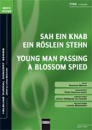 Sah ein Knab ein Röslein stehn / Young Man Passing A Blossom Spied 